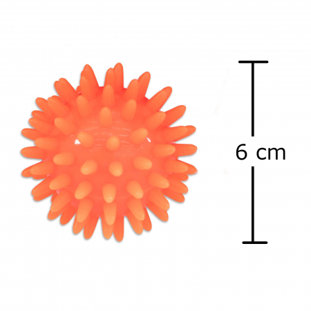 Minge de arici cu țepi lungi, de 6 cm [1]