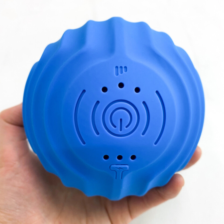 Minge vibratoare [3]