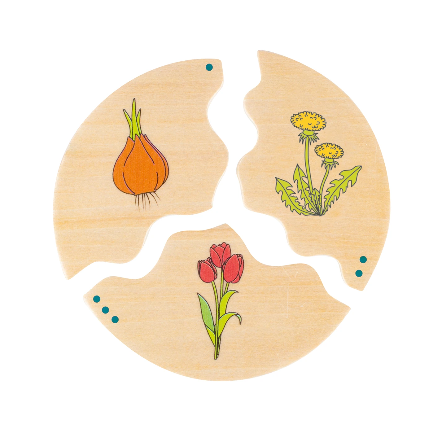 Puzzle de asociere din lemn cu etapele evoluției în natură [4]