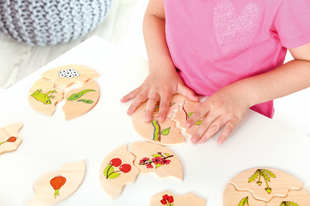 Puzzle de asociere din lemn cu etapele evoluției în natură [7]