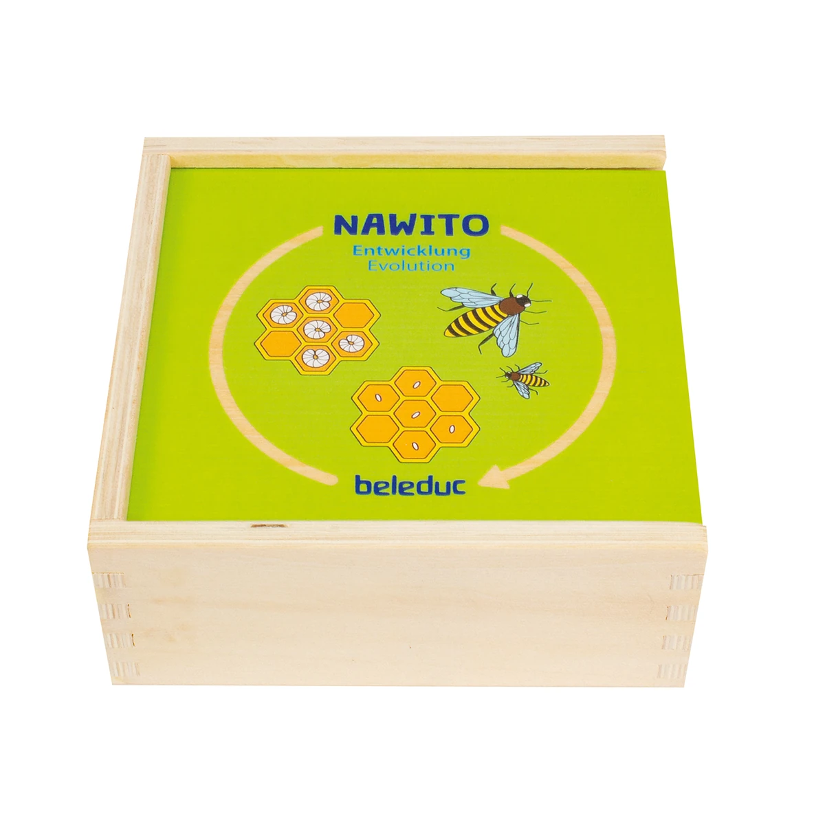 Puzzle - Puzzle de asociere din lemn cu etapele evoluției în natură