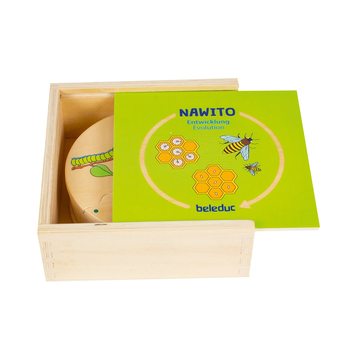 Puzzle de asociere din lemn cu etapele evoluției în natură [1]