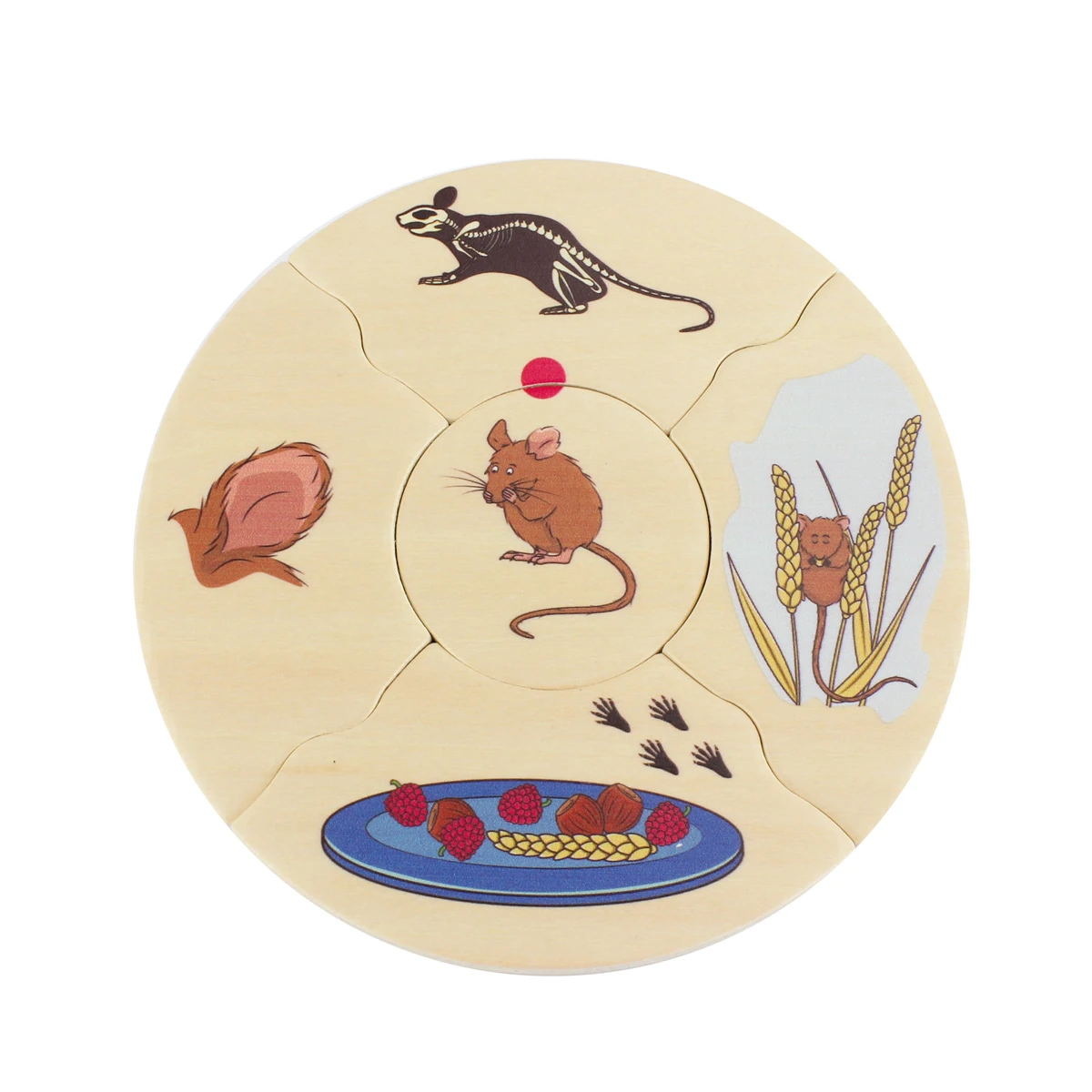 Puzzle din lemn de asociere specii de animale și medii de viață [6]