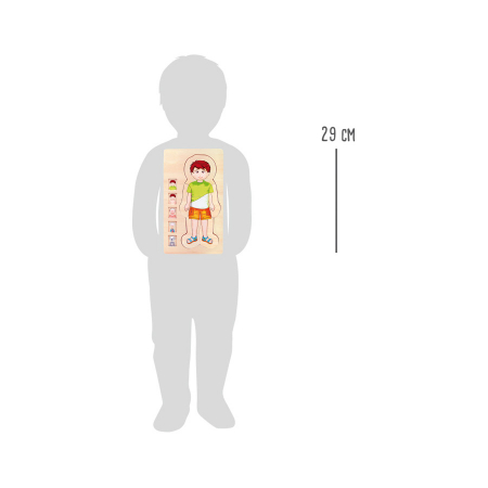 Puzzle multistrat de anatomie - băiat [4]