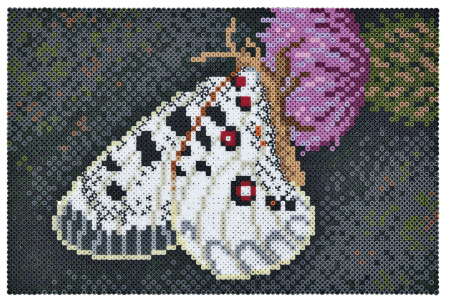 Set cu mărgele Hama midi artă - fluture [1]