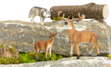 Set de animele din pădure, domestice, sălbatice și preistorice [8]
