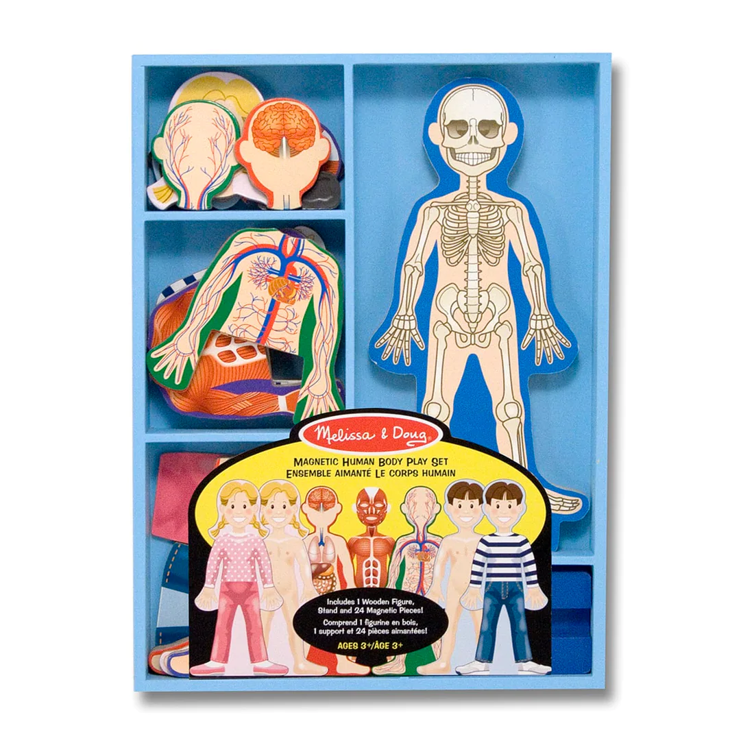 Anatomie - Set de joacă magnetic - corpul uman