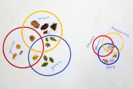 Inele de sortare pe masă [3]