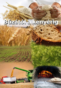 Egészséges életmód - A búzától a kenyérig