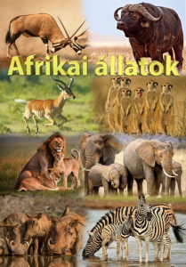Az állatok izgalmas világa - Afrikai állatok