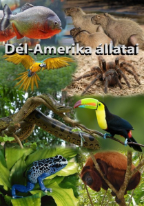 Az állatok izgalmas világa - Dél-Amerika állatvilága