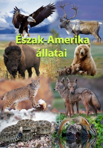 Az állatok izgalmas világa - Észak-Amerika állatai