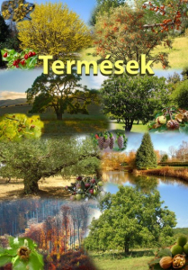 Ismerjük meg a növényvilágot - Termések