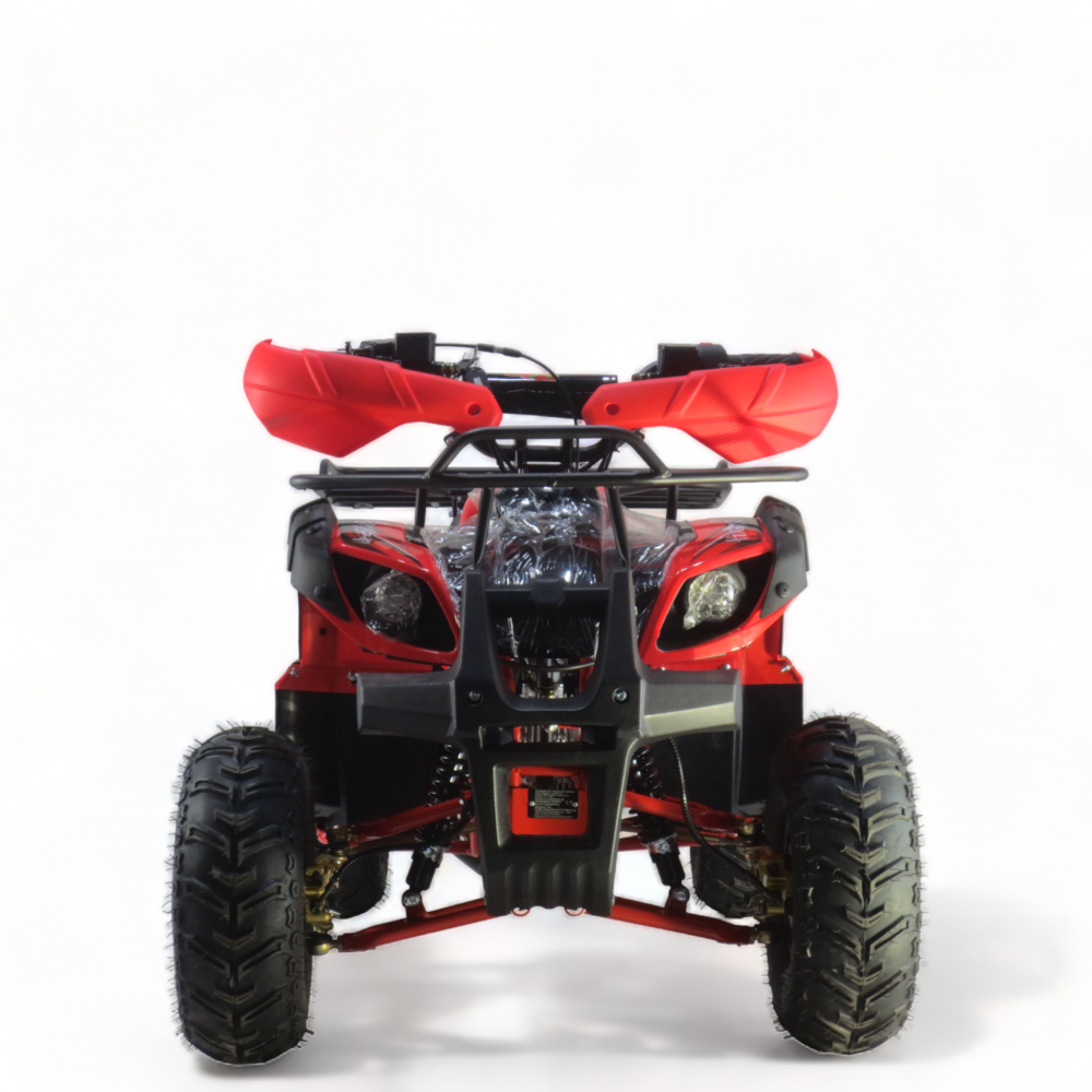 ATV KXD 006S PRO 125 cc – Echipat pentru aventură cu roți de 8″ [4]