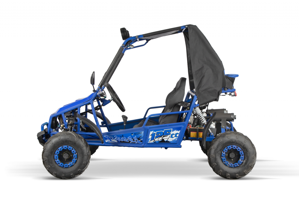Nitro Motors Gokart 125cc Midi Kinderbuggy RG7 A Hunt 7 Inch [4]