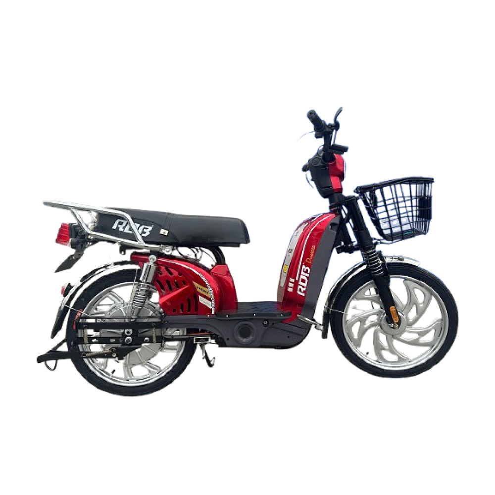 Scuter electric RDB Dunărea 450W [5]