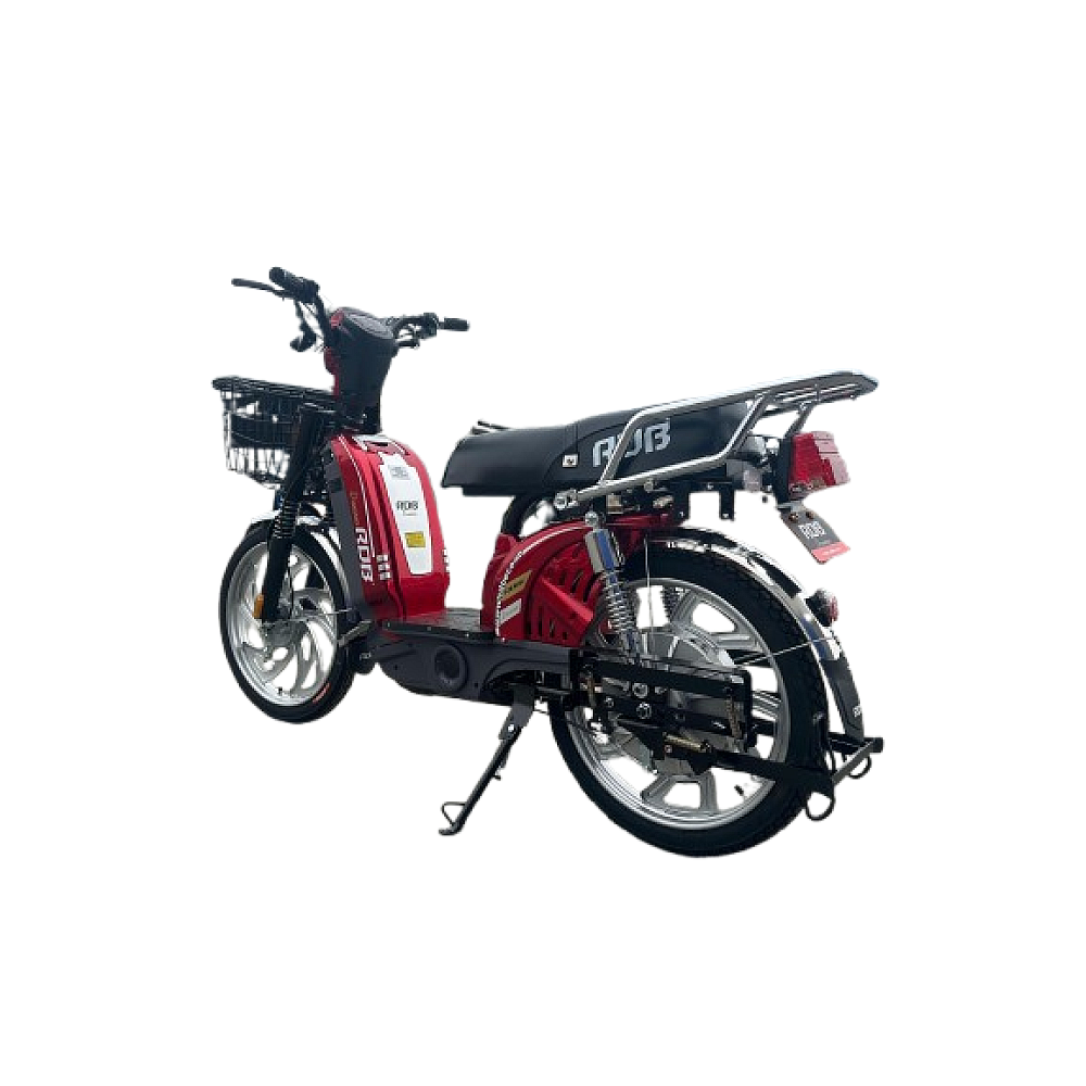 Scuter electric RDB Dunărea 450W [3]