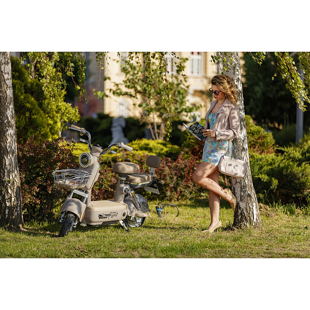 Scuter Electric RDB PARIS, 600W, fara permis, 48V 20Ah, 25km/h [6]