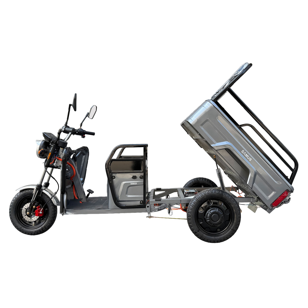 TRICICLU ELECTRIC CARGO RANGER 25 [3]