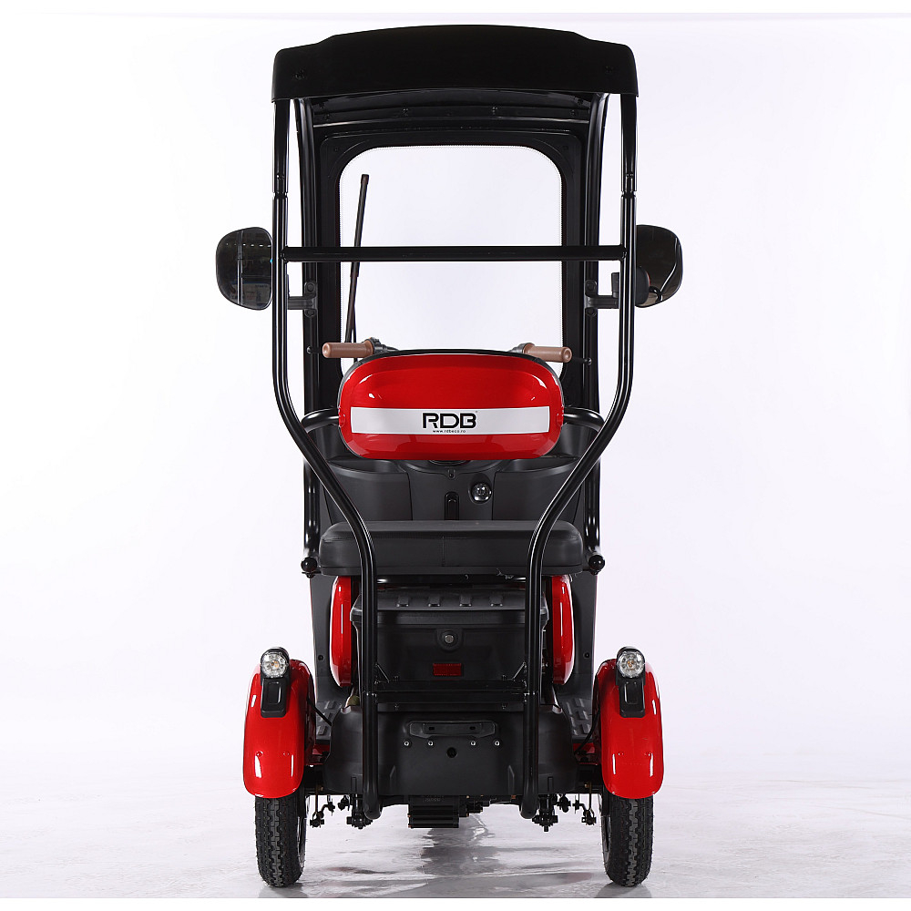 Triciclu Electric RDB Panda 5, 650W, 60V20Ah, Fără permis [3]