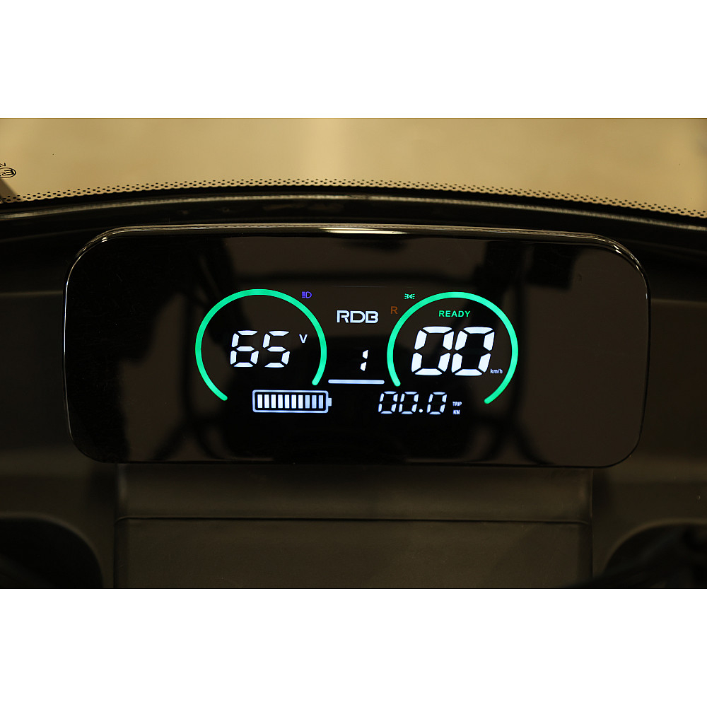 Triciclu Electric RDB Panda 5, 650W, 60V20Ah, Fără permis [8]