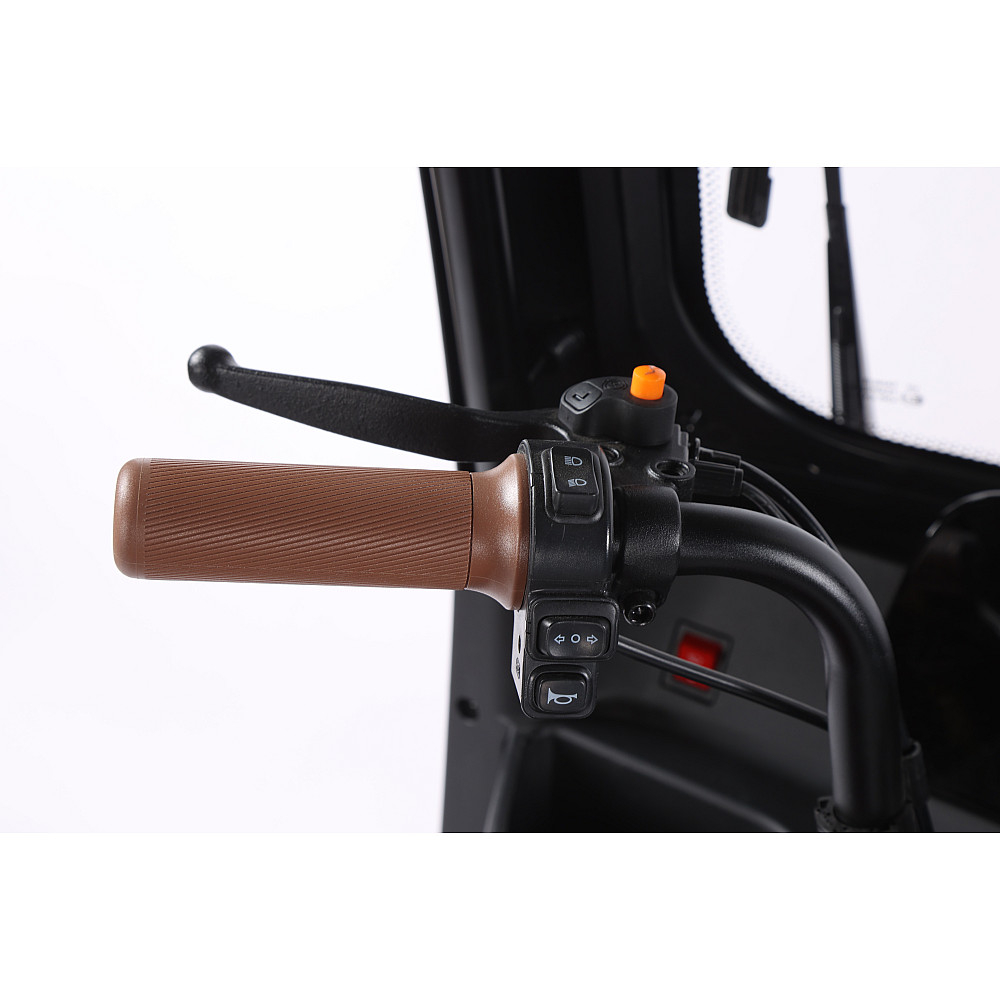 Triciclu Electric RDB Panda 5, 650W, 60V20Ah, Fără permis [13]