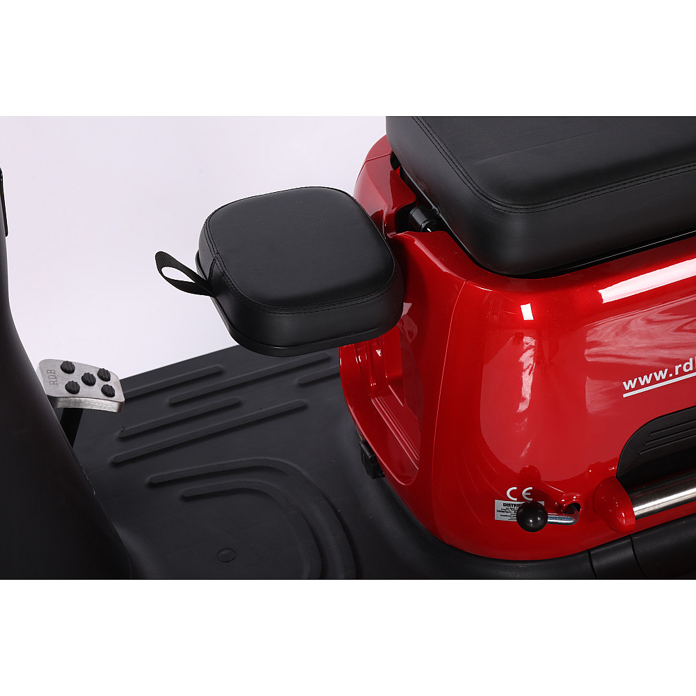 Triciclu Electric RDB Panda 5, 650W, 60V20Ah, Fără permis [19]