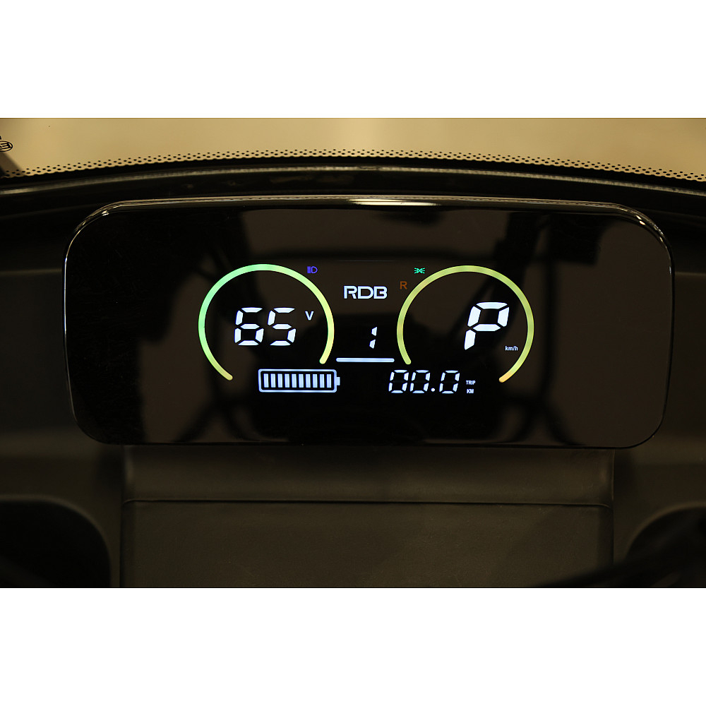 Triciclu Electric RDB Panda 5, 650W, 60V20Ah, Fără permis [9]