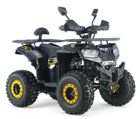 ATV 125cc KXD Defender 002 – Performanță și Distracție pentru Tinerii Aventurieri [1]