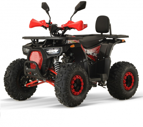 ATV 125CC Midi Dustrider RS8 A Sport Nitro Motors Kinder Quad [1]