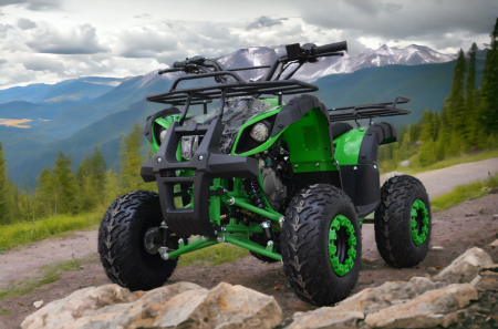 ATV KXD 006-7 HUMMER  RG7 125cc CUTIE AUTOMATA [3]