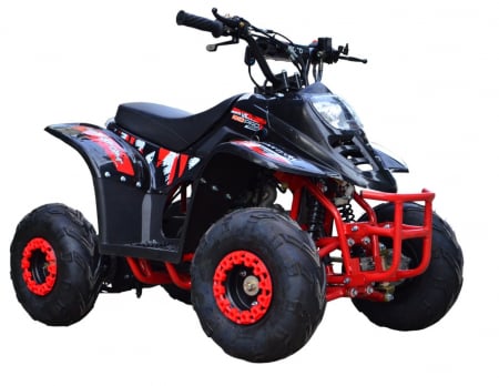 ATV-uri pentru copii și adulți - ATV 125CC NOU Model Biggfoot Rg6 Kinderquad