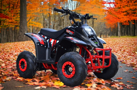 ATV 125CC NOU Model Biggfoot Rg6 Kinderquad [2]