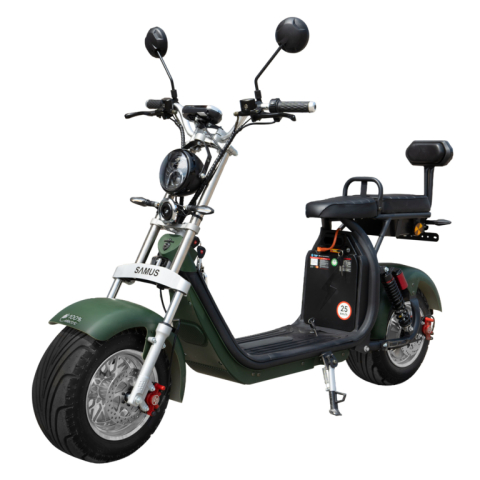 SCUTER ELECTRIC INDIANA 10T2100-60B20L [3]