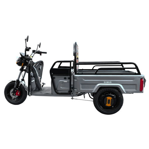 TRICICLU ELECTRIC CARGO RANGER 25 [1]