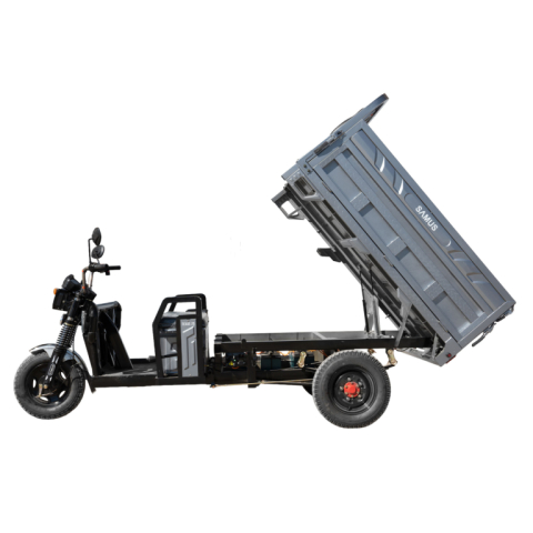 Triciclu electric cargo Samus Texas-25-1.7-72V58 Silver [3]