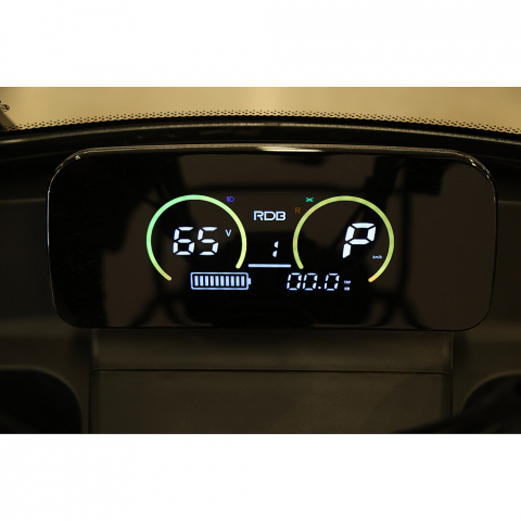 Triciclu Electric RDB Panda 5, 650W, 60V20Ah, Fără permis [8]