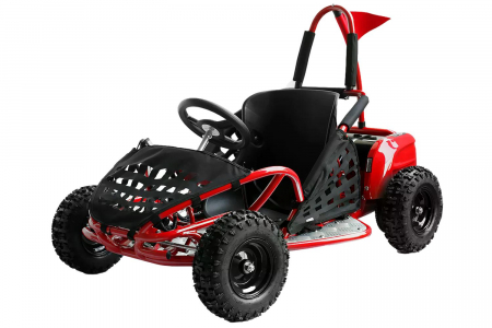 UTV-BUGGY 1000W AUTOMAT [1]