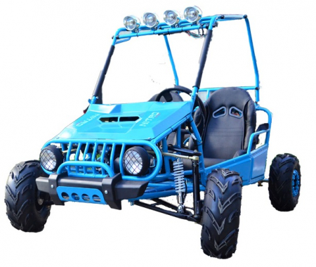 UTV-BUGGY 125CC AUTOMAT [2]