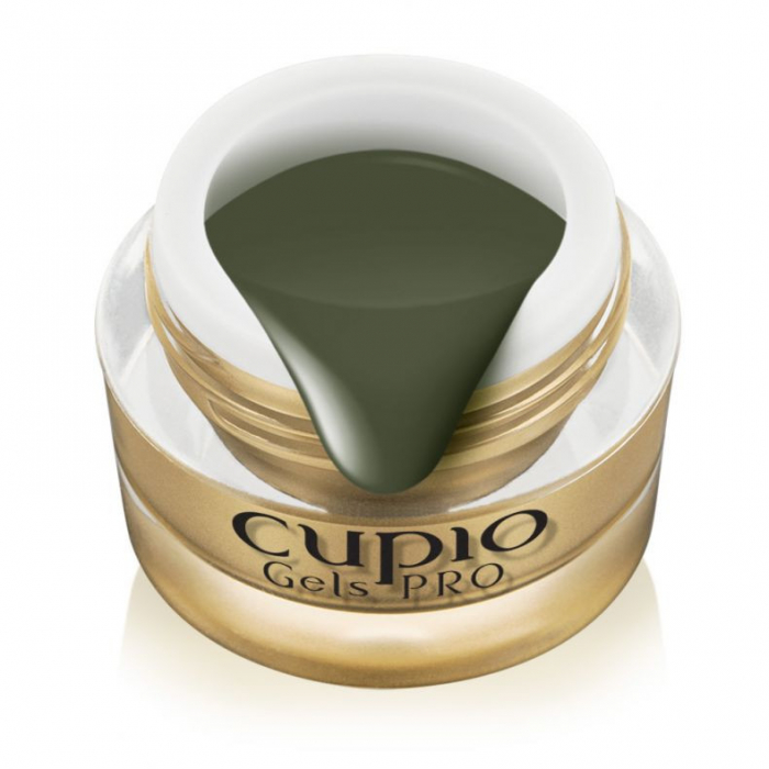 Cupio Gel de pictura One Stroke Olive Green 5ml [1]