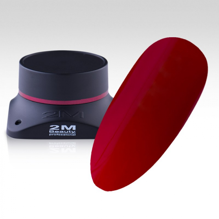 Gel Color 2M Nr.040 [1]