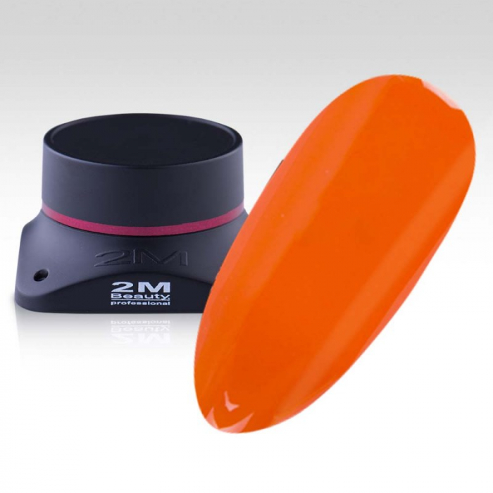 Gel Color 2M Nr.533 [1]