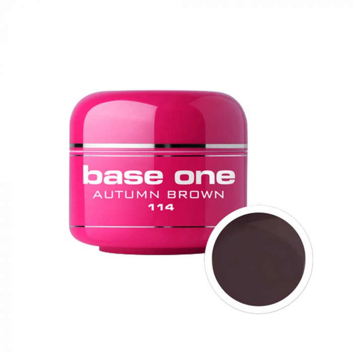 Gel UV color Base One, 5 g, autumn brown 114 [1]