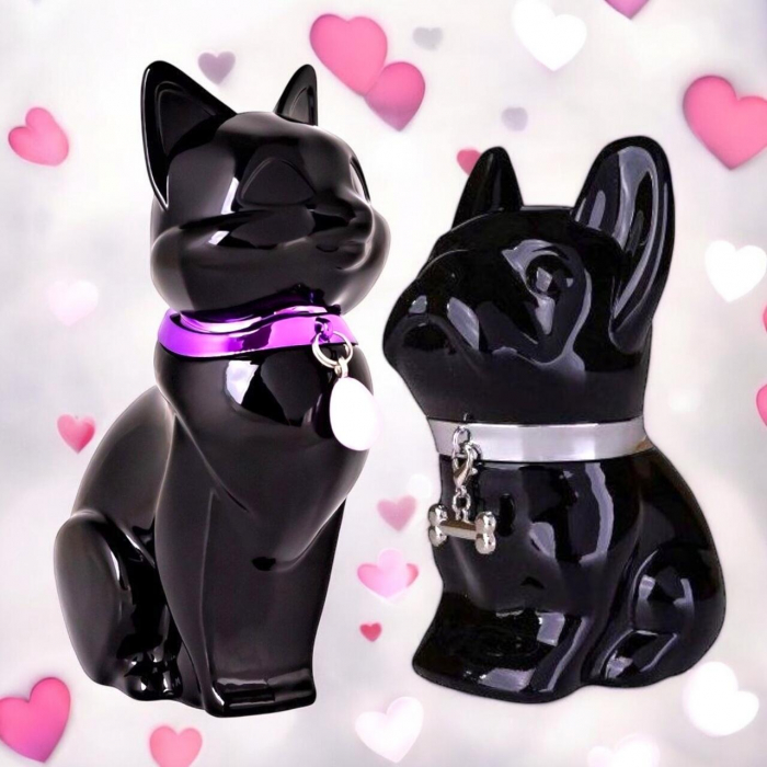 Pachet El si Ea Apa de toaleta si parfum Appelo & Gatina Black Accentra 150 m [2]