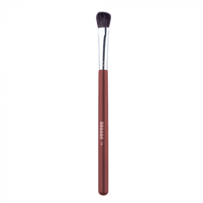 Set 22 pensule makeup Megaga cu husa visinie [5]