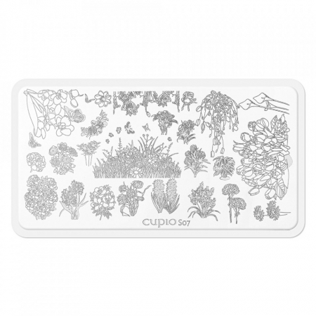 UNGHII - Cupio Matrita stampila S07