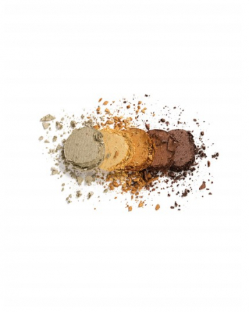 Flormar Paleta Fard Pleoape Color 004 Golden Caramel [1]