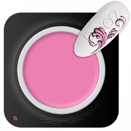 Gel color 2M Painting 07 5 g