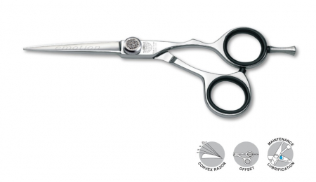 SALOANE - Kiepe Professional Foarfeca profesionala de tuns offset 5.5 inci Master Emotion