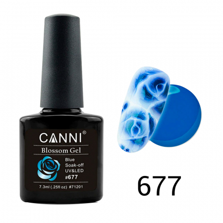 Oja semipermanenta, Canni, Blossom 677 [1]